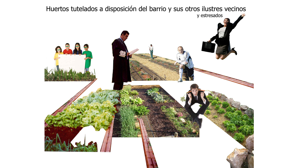 valdebebas-003-huertos-hortalizas-verduras-tutelados-alquiler-deporte-eficaz